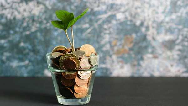 A small green sprout growing out of a glass jar filled with various gold and copper coins, symbolizing financial growth and investment.